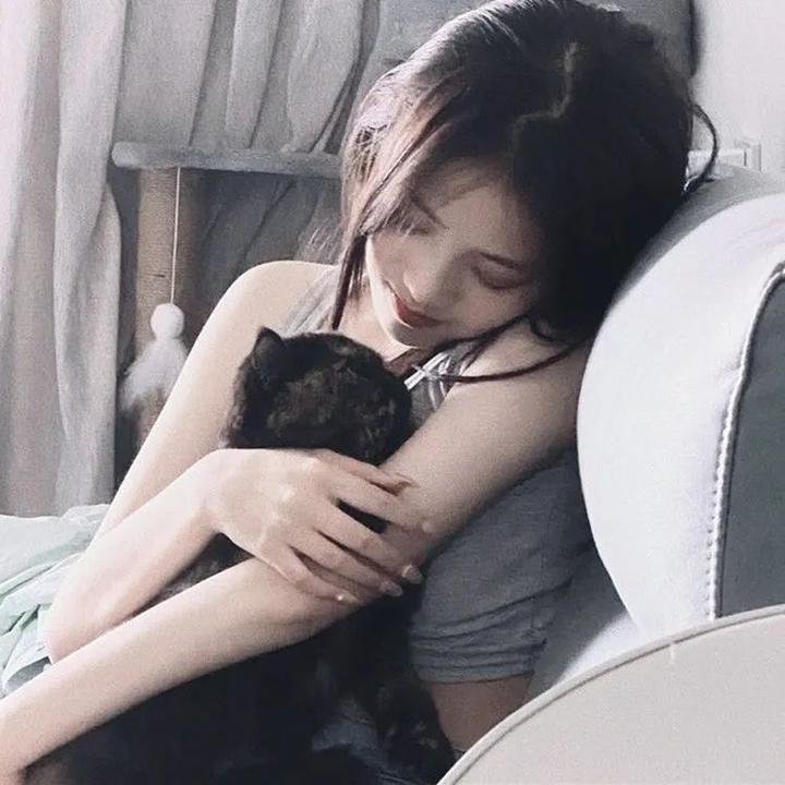 龙猪飞上天