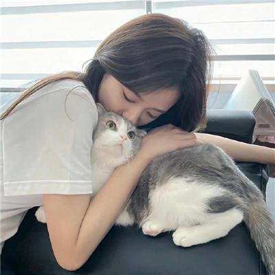 情歌恋曲